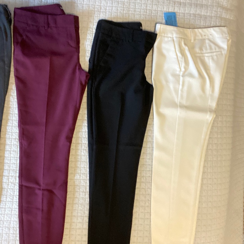 Dress pants